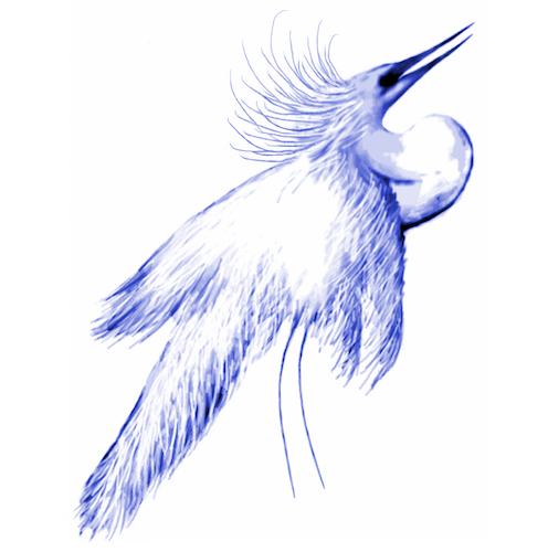 Snowy White Egret