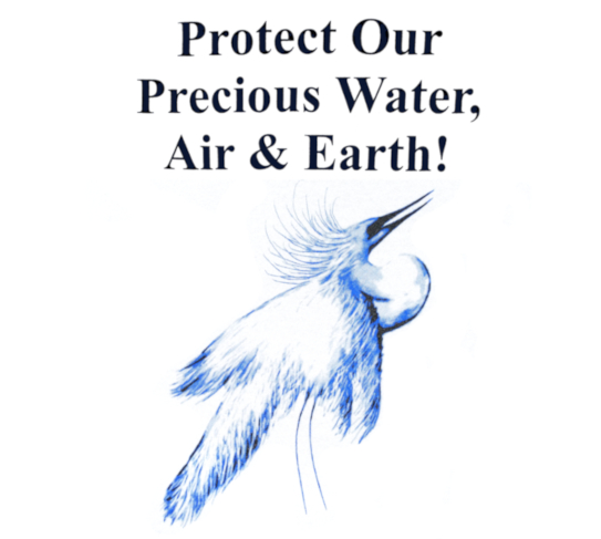 Snowy White Egret shirt: Protect Our Precious Water, Air & Earth!